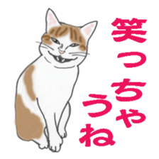 realcats sticker #1253595