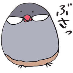 busabusa bird