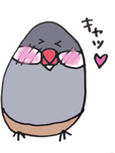 busabusa bird sticker #1254604
