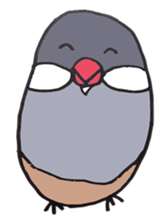 busabusa bird sticker #1254605