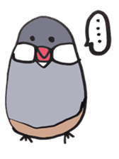 busabusa bird sticker #1254608