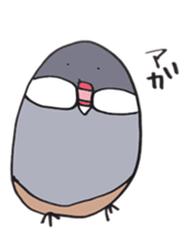 busabusa bird sticker #1254611