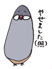 busabusa bird sticker #1254613