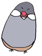 busabusa bird sticker #1254623