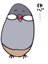 busabusa bird sticker #1254624