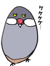 busabusa bird sticker #1254627