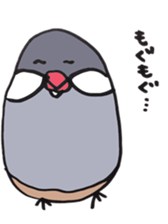 busabusa bird sticker #1254628