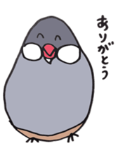 busabusa bird sticker #1254629