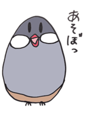busabusa bird sticker #1254635
