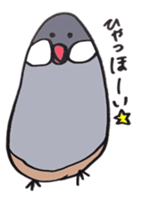busabusa bird sticker #1254636