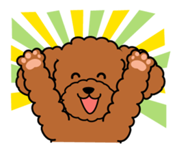 I likes a toy poodle. sticker #1256019