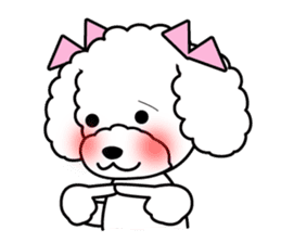 I likes a toy poodle. sticker #1256020