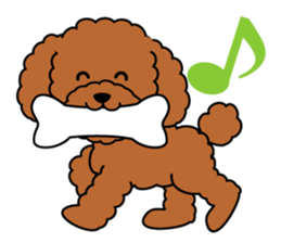 I likes a toy poodle. sticker #1256021