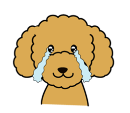 I likes a toy poodle. sticker #1256023