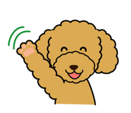 I likes a toy poodle. sticker #1256025
