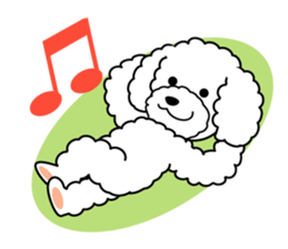 I likes a toy poodle. sticker #1256029