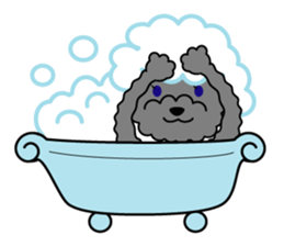 I likes a toy poodle. sticker #1256030