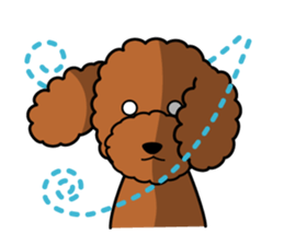 I likes a toy poodle. sticker #1256033