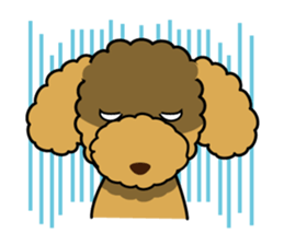 I likes a toy poodle. sticker #1256035