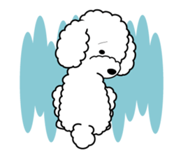 I likes a toy poodle. sticker #1256037