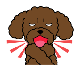 I likes a toy poodle. sticker #1256038