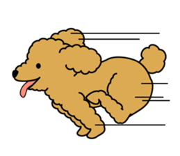 I likes a toy poodle. sticker #1256040