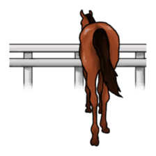 LIFE with lovely horses sticker #1257756