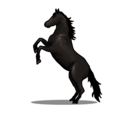 LIFE with lovely horses sticker #1257761