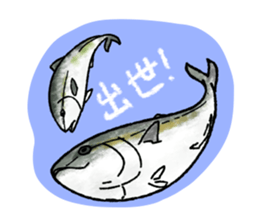 Fish and shellfishes sticker #1258892