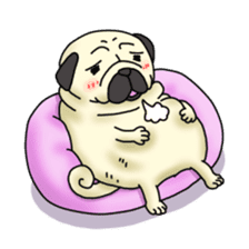 Cheerful pug dog  Daily conversation sticker #1259606