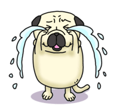 Cheerful pug dog  Daily conversation sticker #1259609