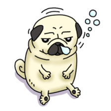 Cheerful pug dog  Daily conversation sticker #1259614