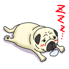 Cheerful pug dog  Daily conversation sticker #1259615
