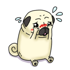 Cheerful pug dog  Daily conversation sticker #1259616