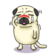 Cheerful pug dog  Daily conversation sticker #1259617