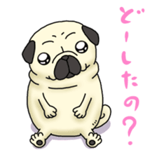 Cheerful pug dog  Daily conversation sticker #1259618