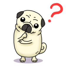 Cheerful pug dog  Daily conversation sticker #1259619