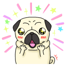 Cheerful pug dog  Daily conversation sticker #1259627