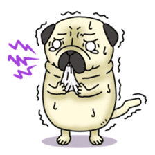 Cheerful pug dog  Daily conversation sticker #1259631