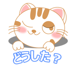 The Everyday Life of a Funny Cat Part 2 sticker #1259955