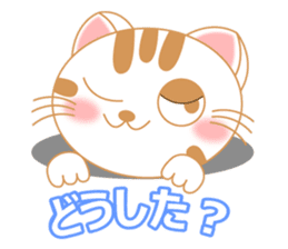 The Everyday Life of a Funny Cat Part 2 sticker #1259955