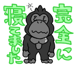 GorillaGorillaGorilla sticker #1261253
