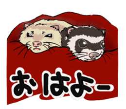 Chacha and Kuro good friend ferret sticker #1261962