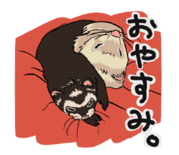Chacha and Kuro good friend ferret sticker #1261963