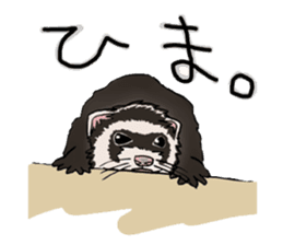 Chacha and Kuro good friend ferret sticker #1261964