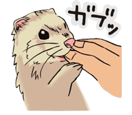 Chacha and Kuro good friend ferret sticker #1261965