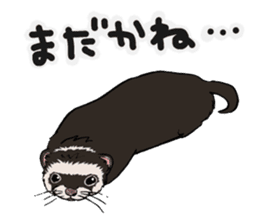 Chacha and Kuro good friend ferret sticker #1261967