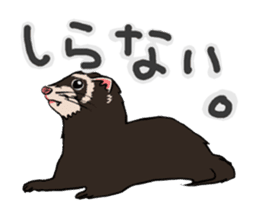 Chacha and Kuro good friend ferret sticker #1261971