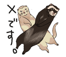 Chacha and Kuro good friend ferret sticker #1261981