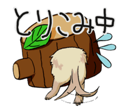 Chacha and Kuro good friend ferret sticker #1261982